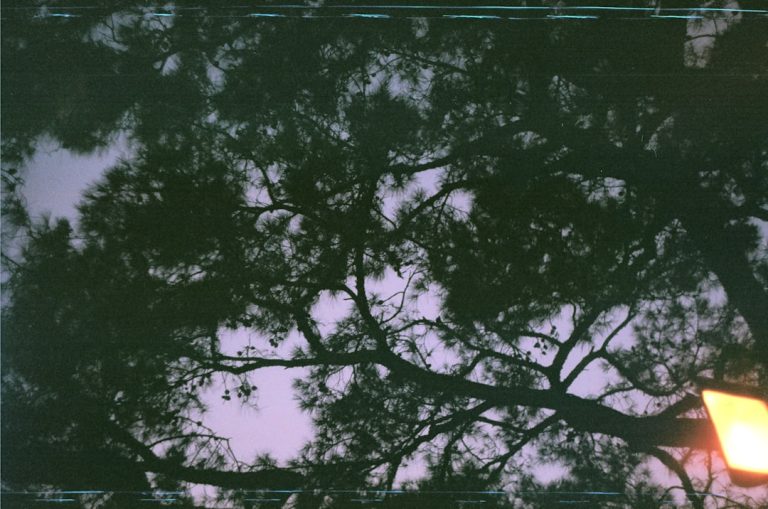 The Power of Deleting Old Photos and Screenshots (my Digital Declutter).